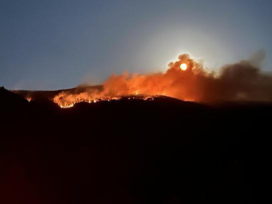 Çankırı'da orman yangını