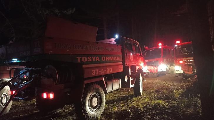 Çankırı'da orman yangını/ Ek fotoğraflar