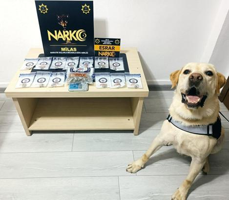 Muğla'da uyuşturucu operasyonlarında 5 tutuklama