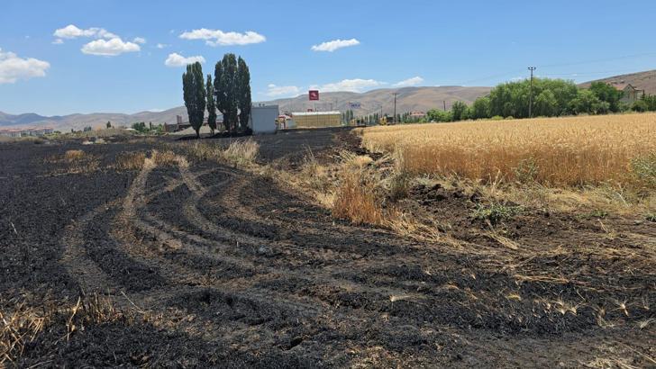 Elazığ’da 23 dönüm ekili buğday yandı