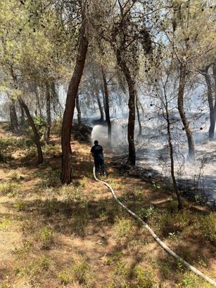 Orman yangını büyümeden kontrol altına alındı