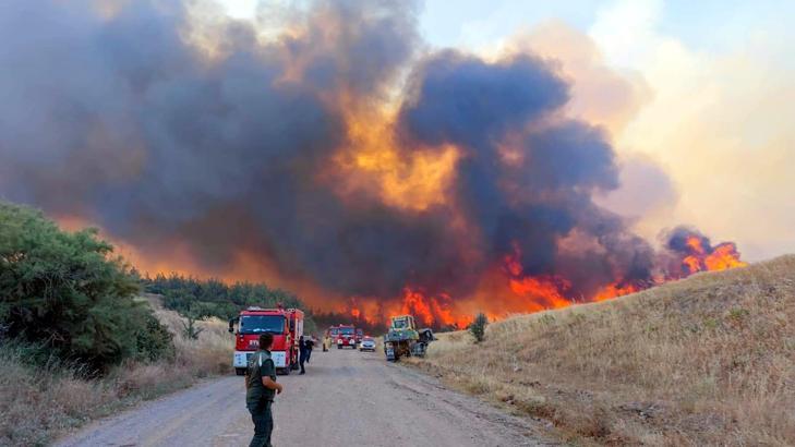 Tekirdağ'da orman yangını; alevlerin tehdit ettiği bir mahalle boşaltılıyor (2)