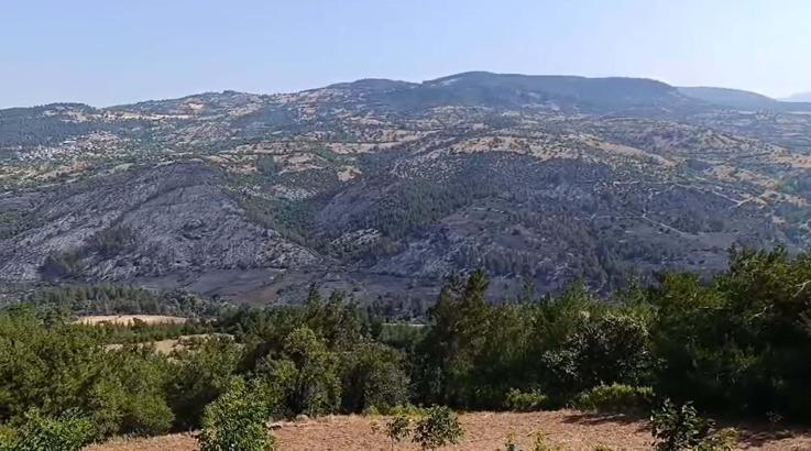 Balıkesir'deki orman yangını 2'nci gününde