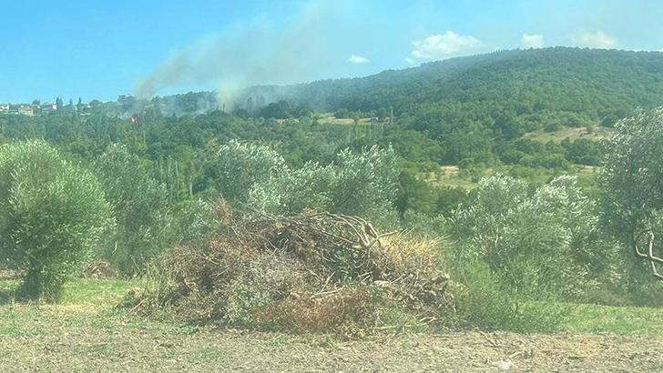 Çanakkale'deki orman yangınının çıkış nedeni, sigara izmariti
