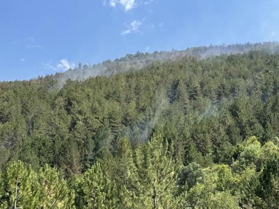 Çankırı'daki yangında 40 hektar orman zarar gördü