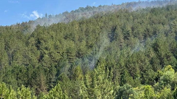 Çankırı'daki yangında 40 hektar orman zarar gördü