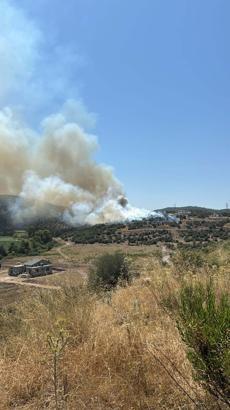 Muğla'da tarım arazisinde yangın