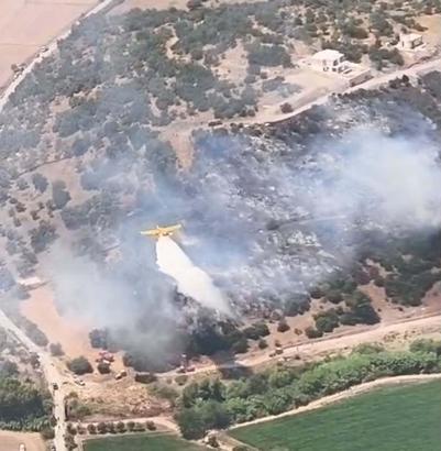 Muğla'da tarım arazisinde yangın (2)