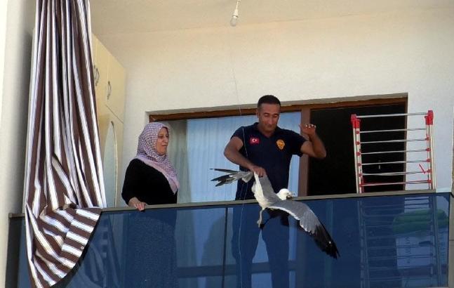 Van'da ipe dolanan martı itfaiye ekipleri tarafından kurtarıldı