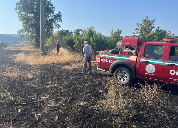 Elektriğe kapılan kuş yangın çıkardı