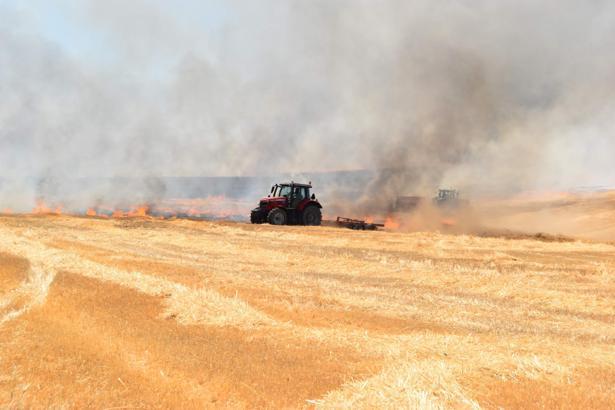 Kırklareli'de iki ayrı yangında ağaçlık alan ve tarım arazisi zarar gördü
