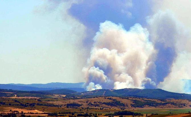 Edirne'de orman yangını