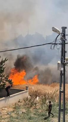 İstanbul - Silivri'de tarlada çıkan yangın yerleşim yerlerine sıçramadan söndürüldü