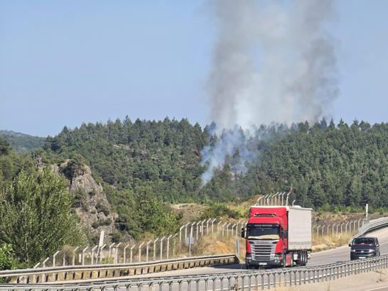 Tokat’ta orman yangını