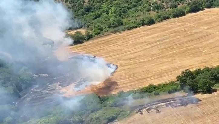 Manyas'ta orman yangını