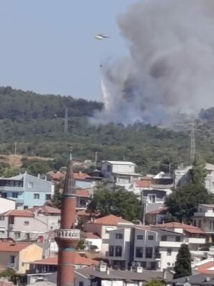 İzmir'de orman yangını (2)