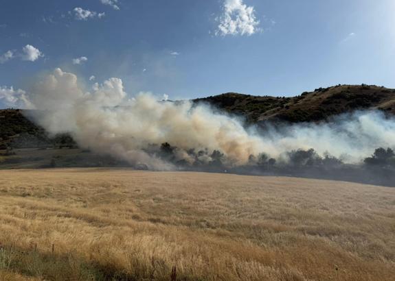 Bitlis'te örtü yangını söndürüldü