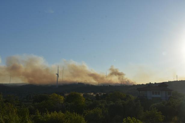İzmir'de orman yangını / Ek fotoğraflar