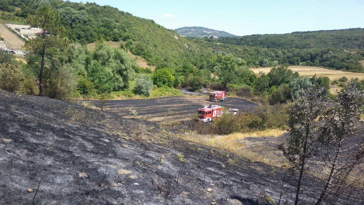 Tarım arazisinde çıkan yangın söndürüldü