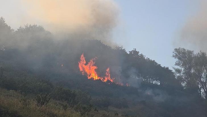Bursa-Yalova sınırında orman yangını
