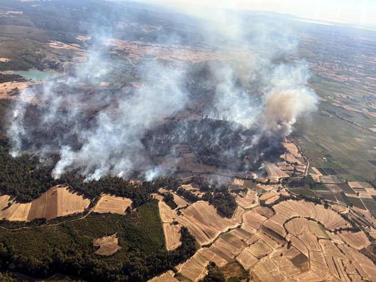 Edirne'de orman yangını (3)