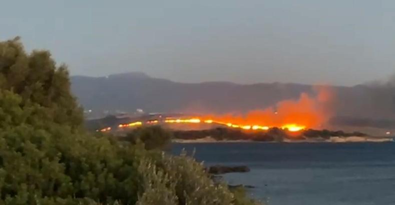 İzmir Aliağa'da otluk yangını çıktı