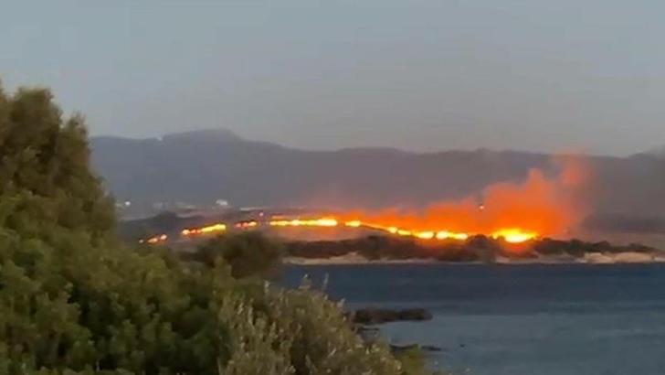 İzmir Aliağa'da otluk yangını çıktı