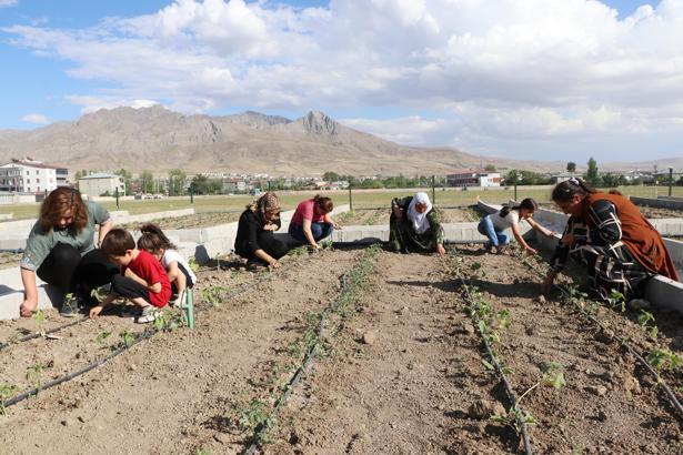 Vanlı kadınlar, belediyenin desteğiyle kurulan bostanlarda sebze yetiştiriyor