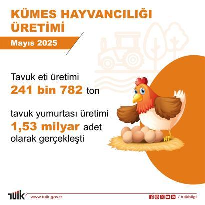 Mayısta yumurta üretimi azaldı, tavuk eti ve içme sütü üretimi arttı