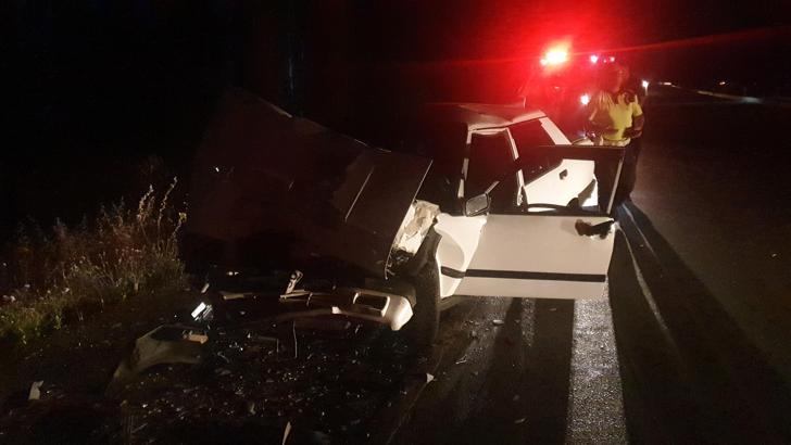 Domuz sürüsüne çarpan sürücü yaralandı