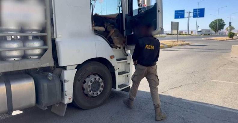 Kamyondaki uyuşturucuyu ‘Alfa’ buldu