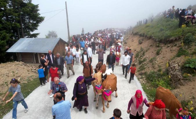 Trabzon'da süslü hayvanlar ve yöresel kıyafetlerle geleneksel yayla göçü /Video eklendi