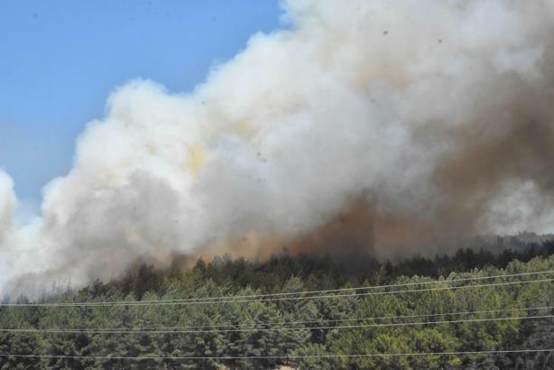 'Yangında atmosfere yayılan kirleticiler, sağlık açısından en riskli kirletici grubunu oluşturur'