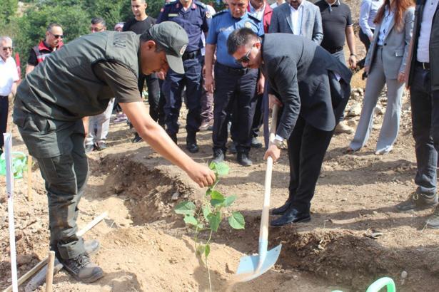 Düziçi’nde 15 Temmuz Şehitleri Hatıra Ormanı’na fidan dikildi