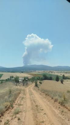 Konya'da orman yangını