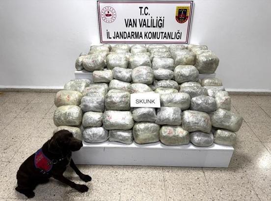 Van'da 70 kilo skunk ele geçirildi