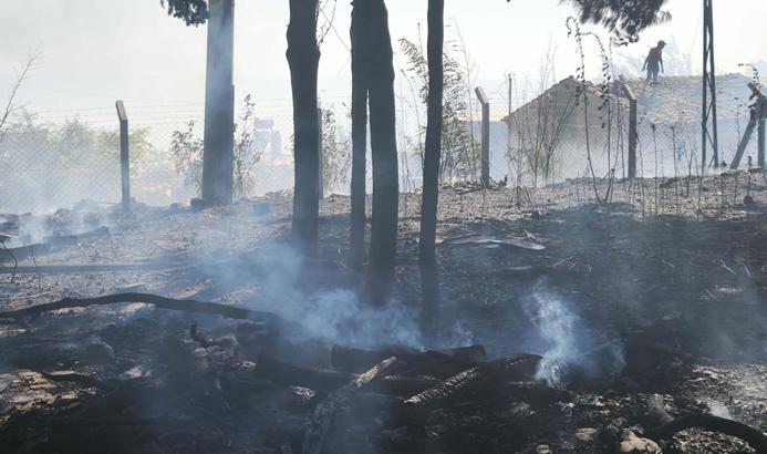 Tarım arazisinde çıkan yangın 2 saatte kontrol altına alındı; metruk evler zarar gördü
