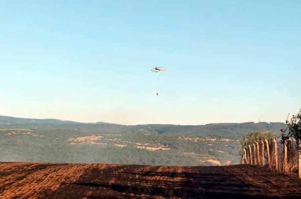 Tekirdağ'da anız yangını; 1 itfaiye eri yaralandı