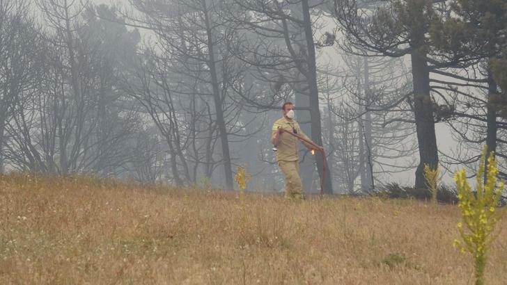 Konya'da orman yangını (2)