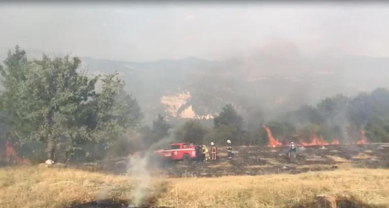 Tarım arazisinde çıkan yangın 3 saatte kontrol altına alındı