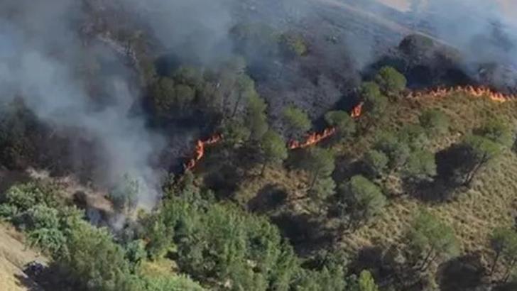 İtalya'nın Sardinya Adası'nda 20 farklı noktada orman yangını çıktı