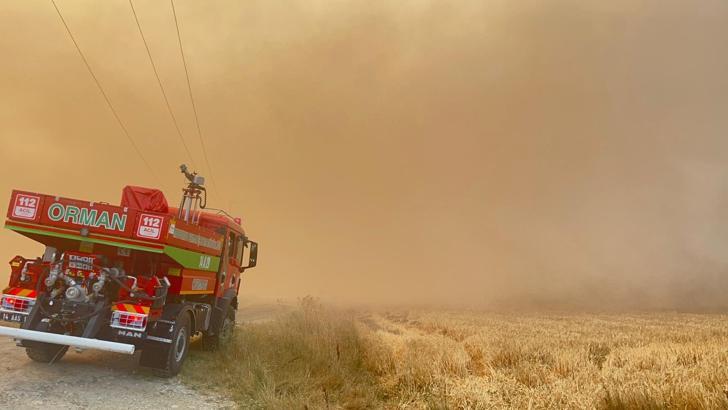 Bolu'da tarım arazisinde çıkan yangın ormana sıçradı