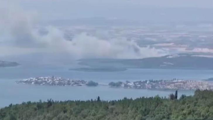 Bursa'da sazlık yangını kontrol altında