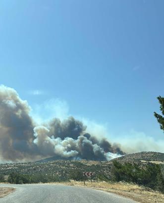 Çanakkale'de orman yangını (2)