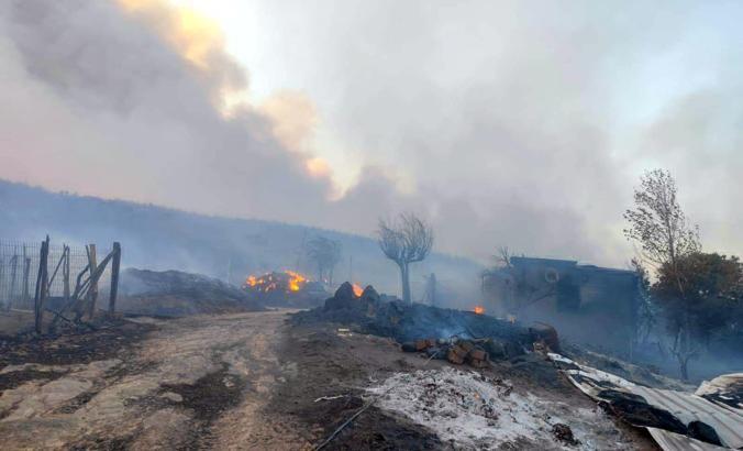 Tekirdağ'da orman yangını (2)