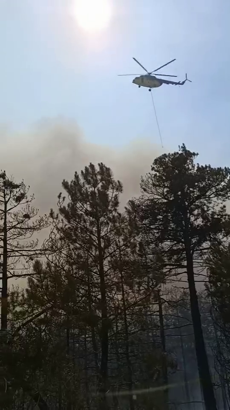 Bolu'da tarım arazisinde çıkan yangın ormana sıçradı (2)