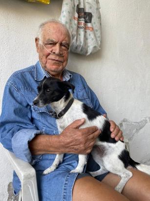 Kazada yaralanan sahibini ambulansta da yalnız bırakmadı (2)