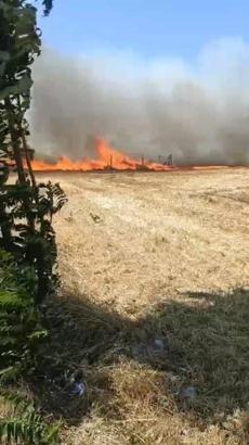İstanbul- Silivri'de buğday tarlasında çıkan yangın söndürüldü