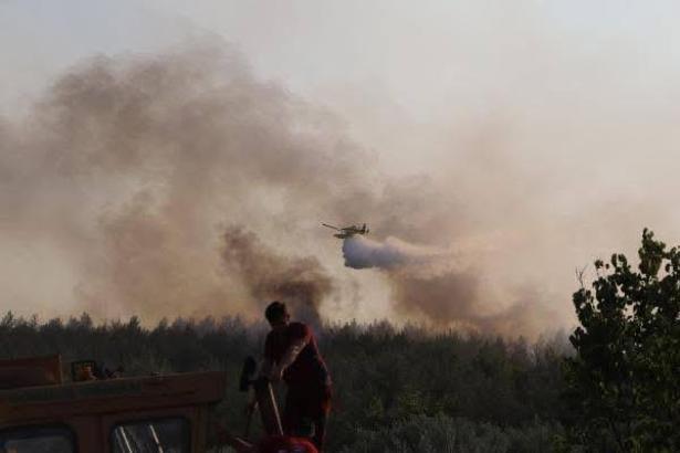 Manisa’da 2 noktada orman yangını; 2 gözaltı