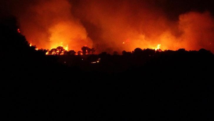 Çanakkale'de orman yangını (5)